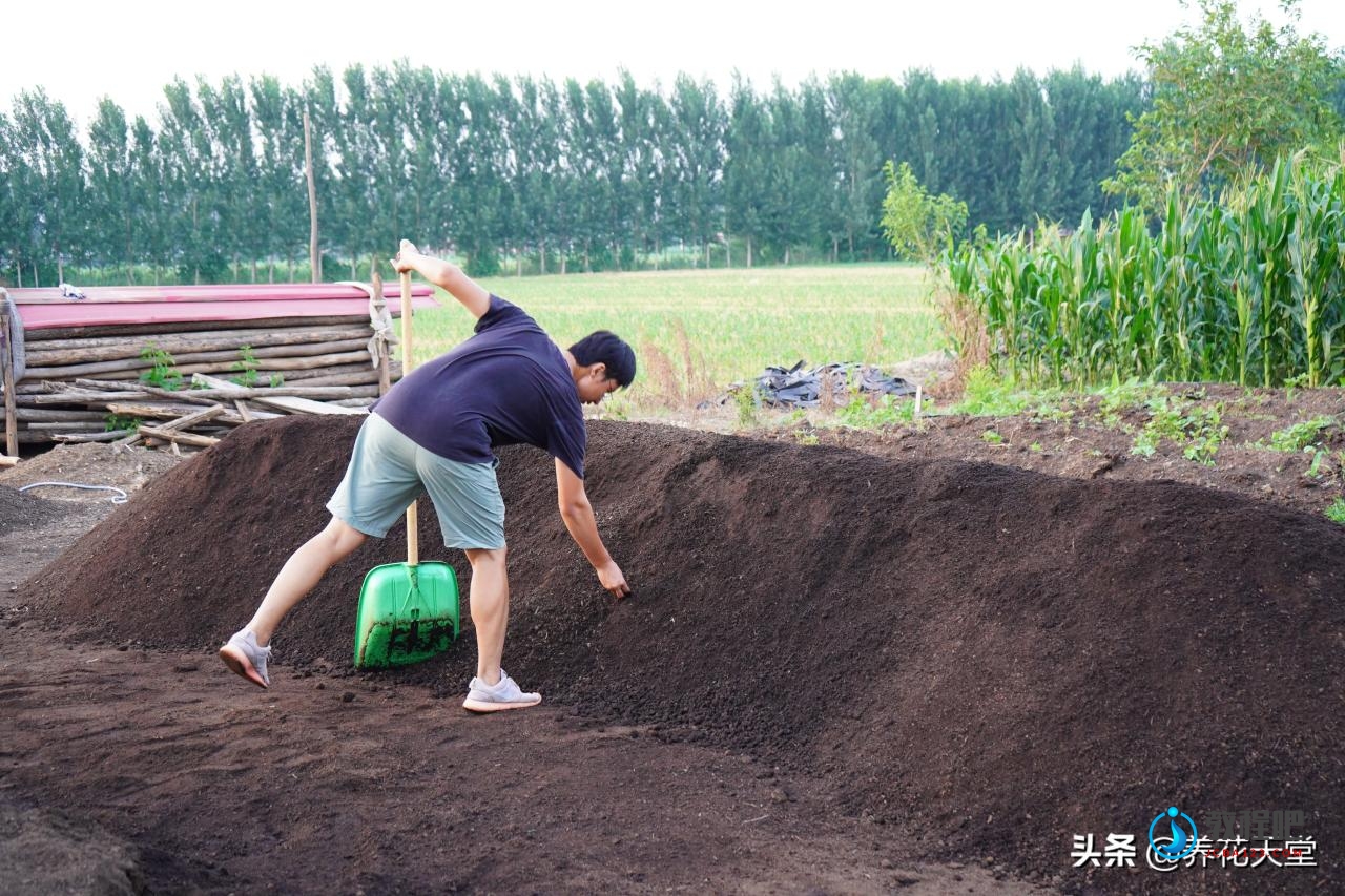 花200元买了10种羊粪，最贵的18元一升，打开包装那一刻怀疑人生