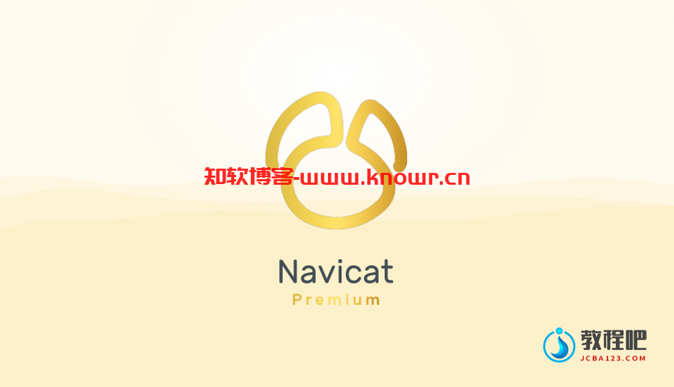 Navicat Premium.png